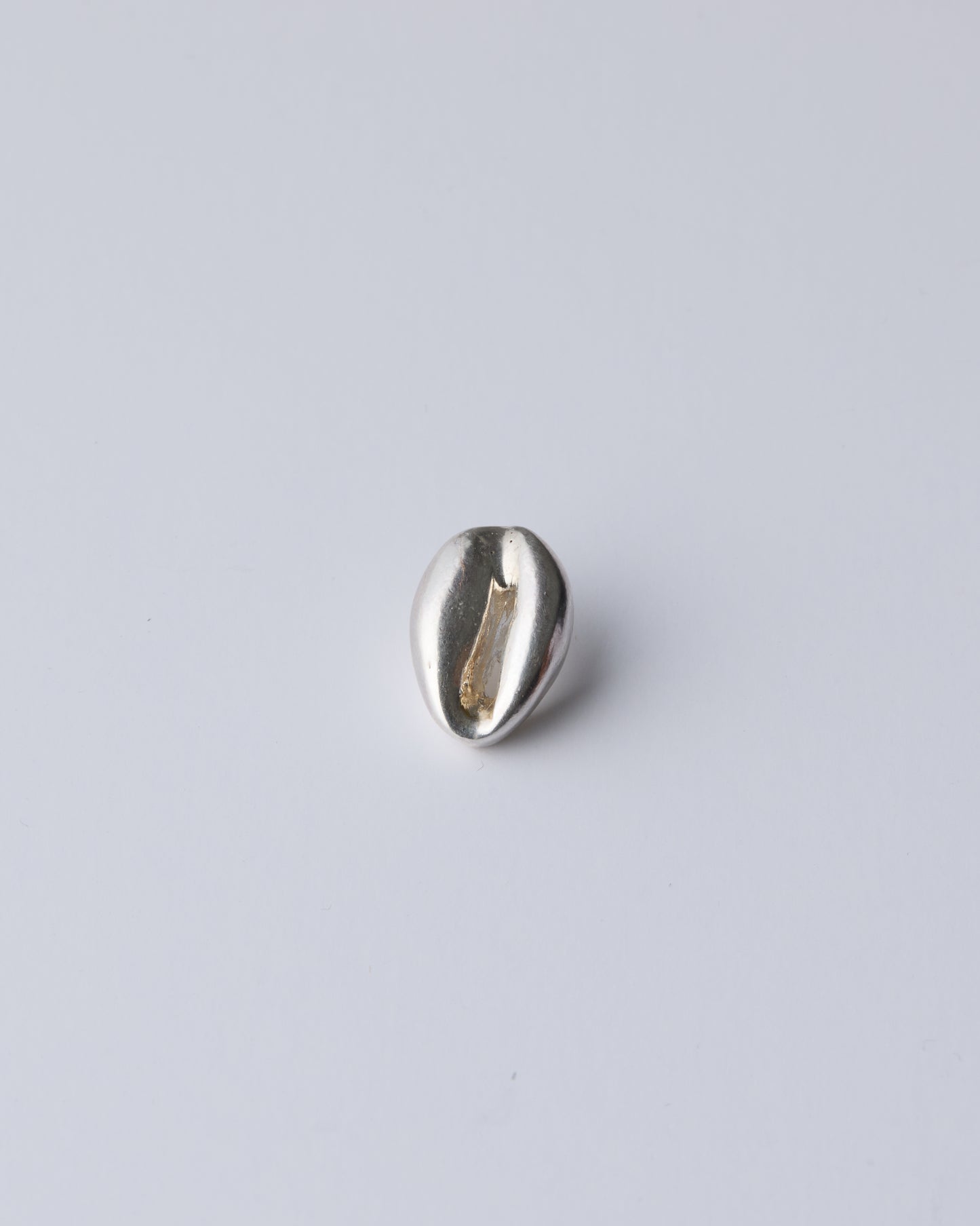 Cowrie Shell Pin