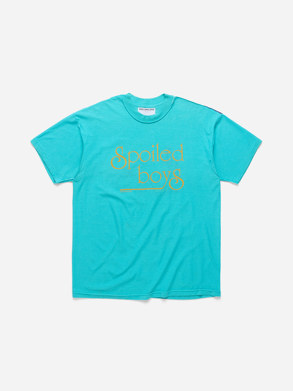 SPOILED BOYS - Teal Tee_Crane Prairie_XL (A3)