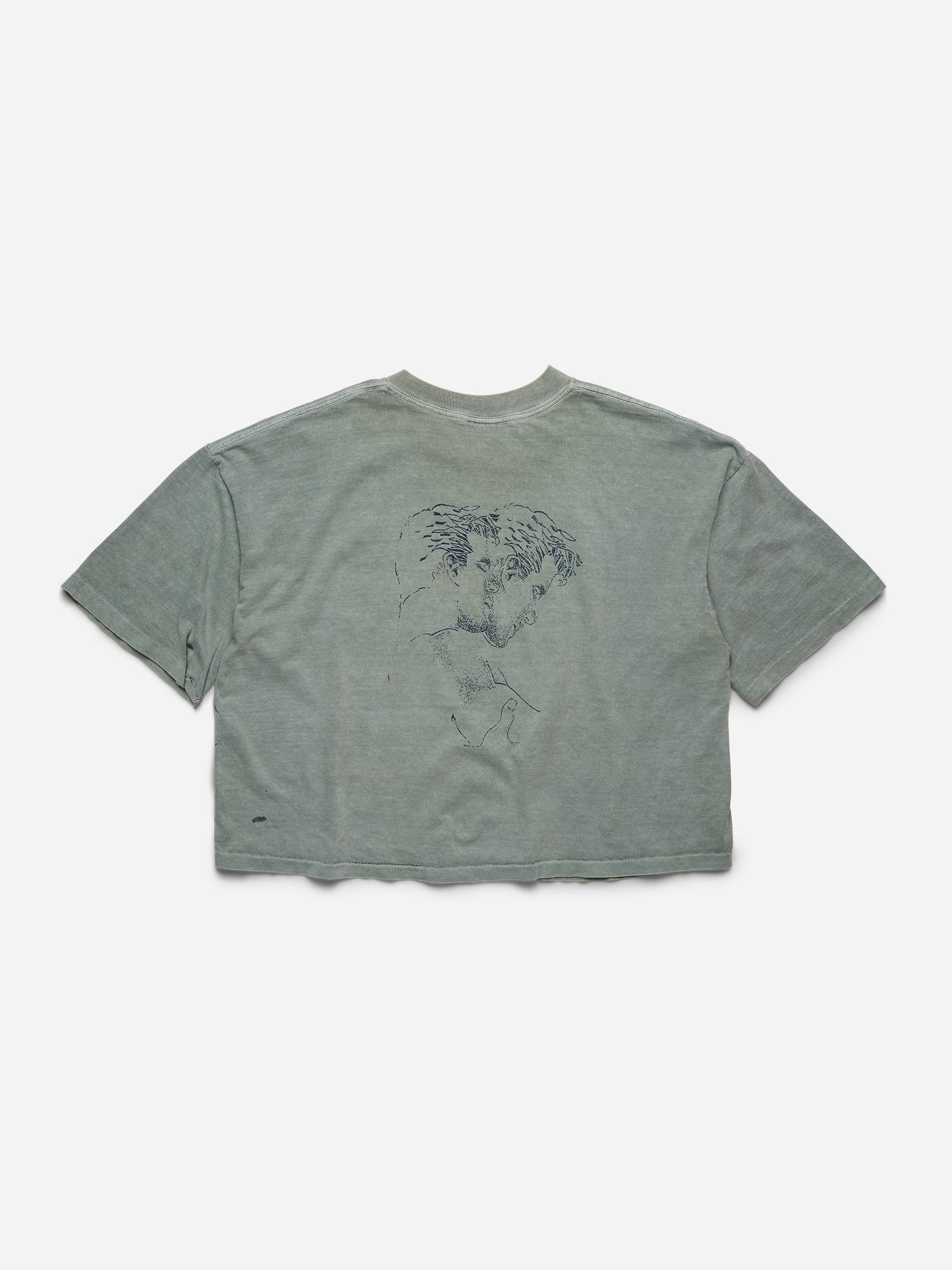 SPOILED BOYS - Sage Green Tee_Cropped_M/L (aa)