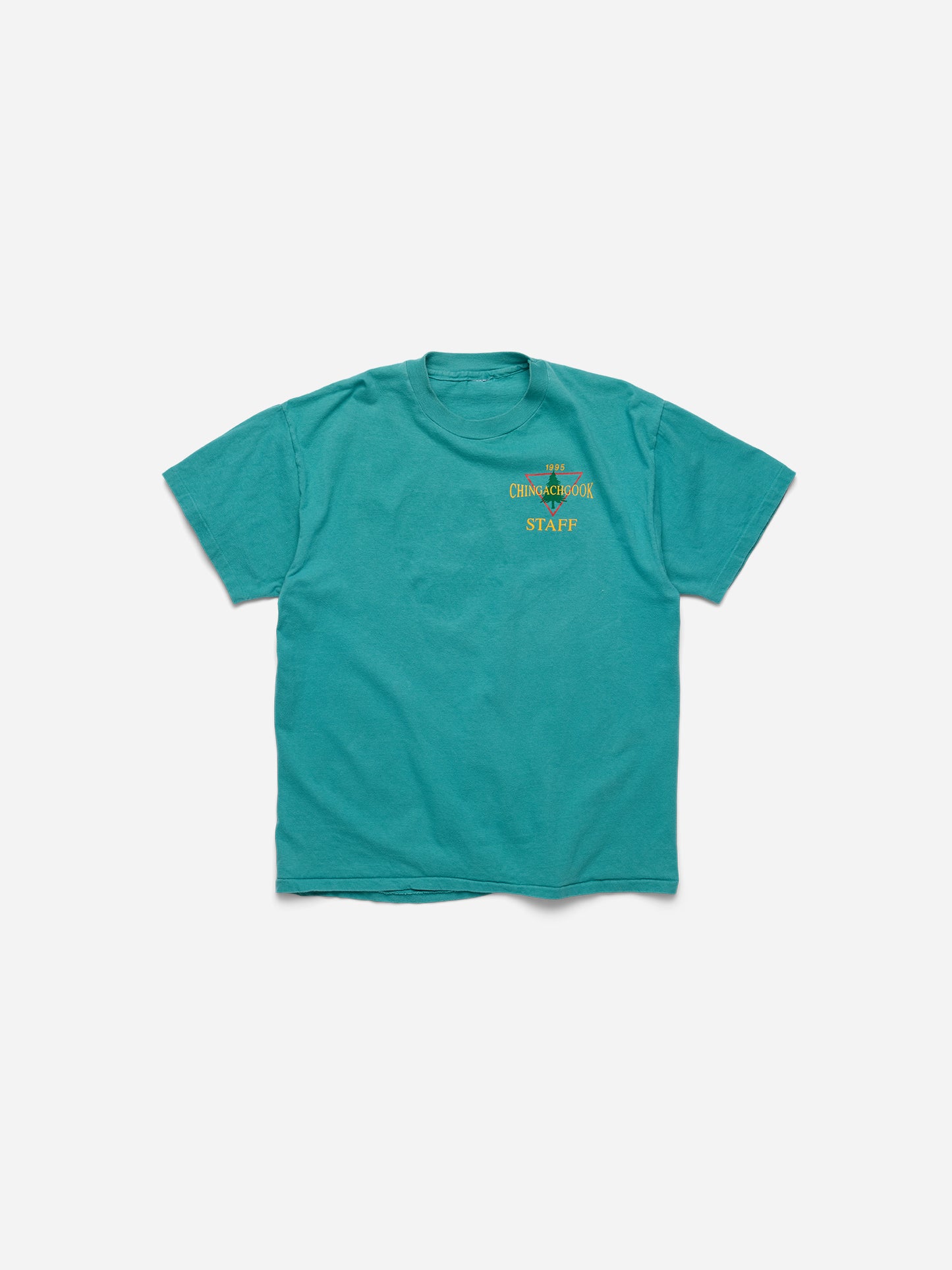 YEAR OF THE DRAGON - Teal Tee _YMCA_M/L (p)