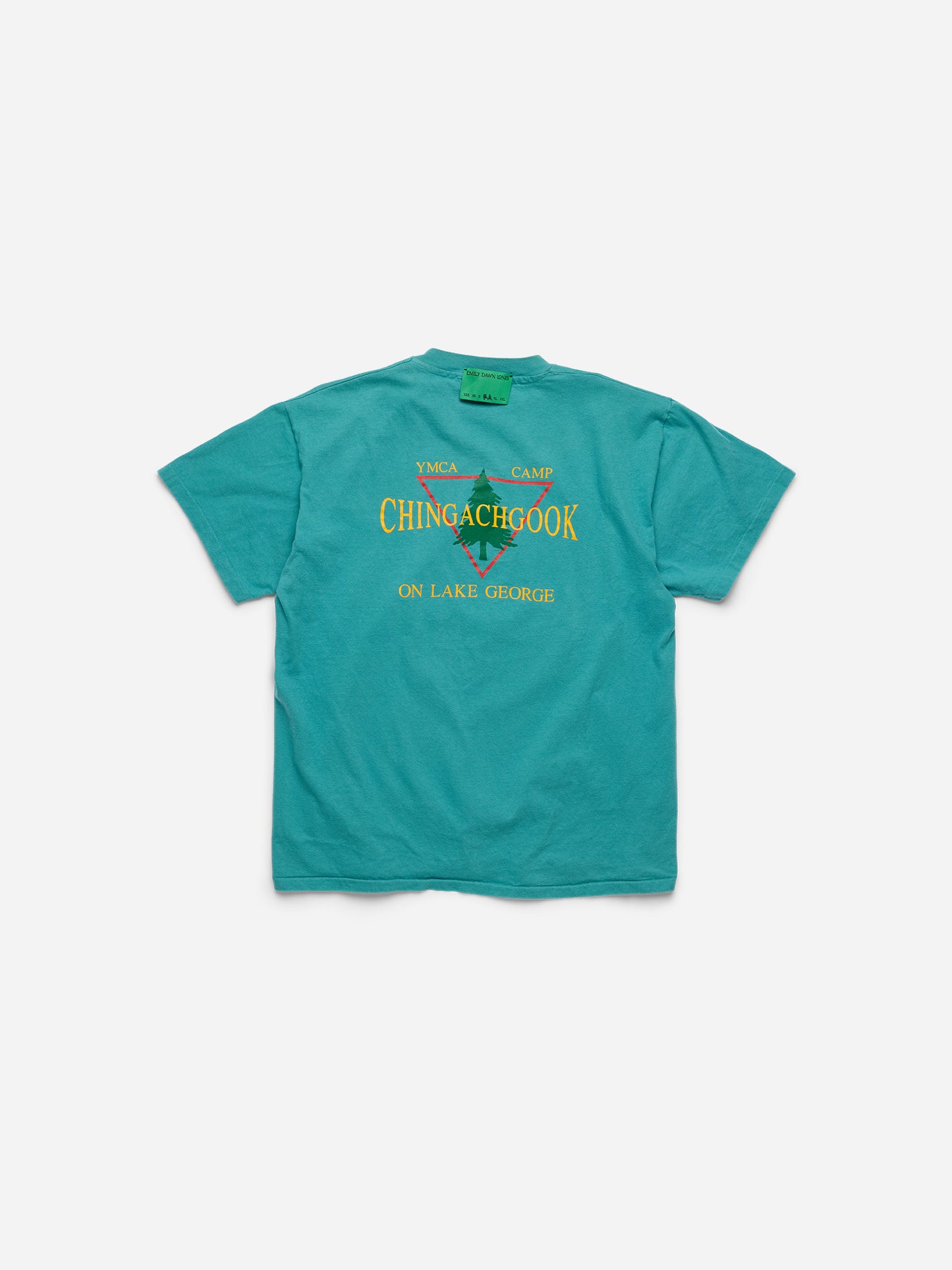 YEAR OF THE DRAGON - Teal Tee _YMCA_M/L (p)