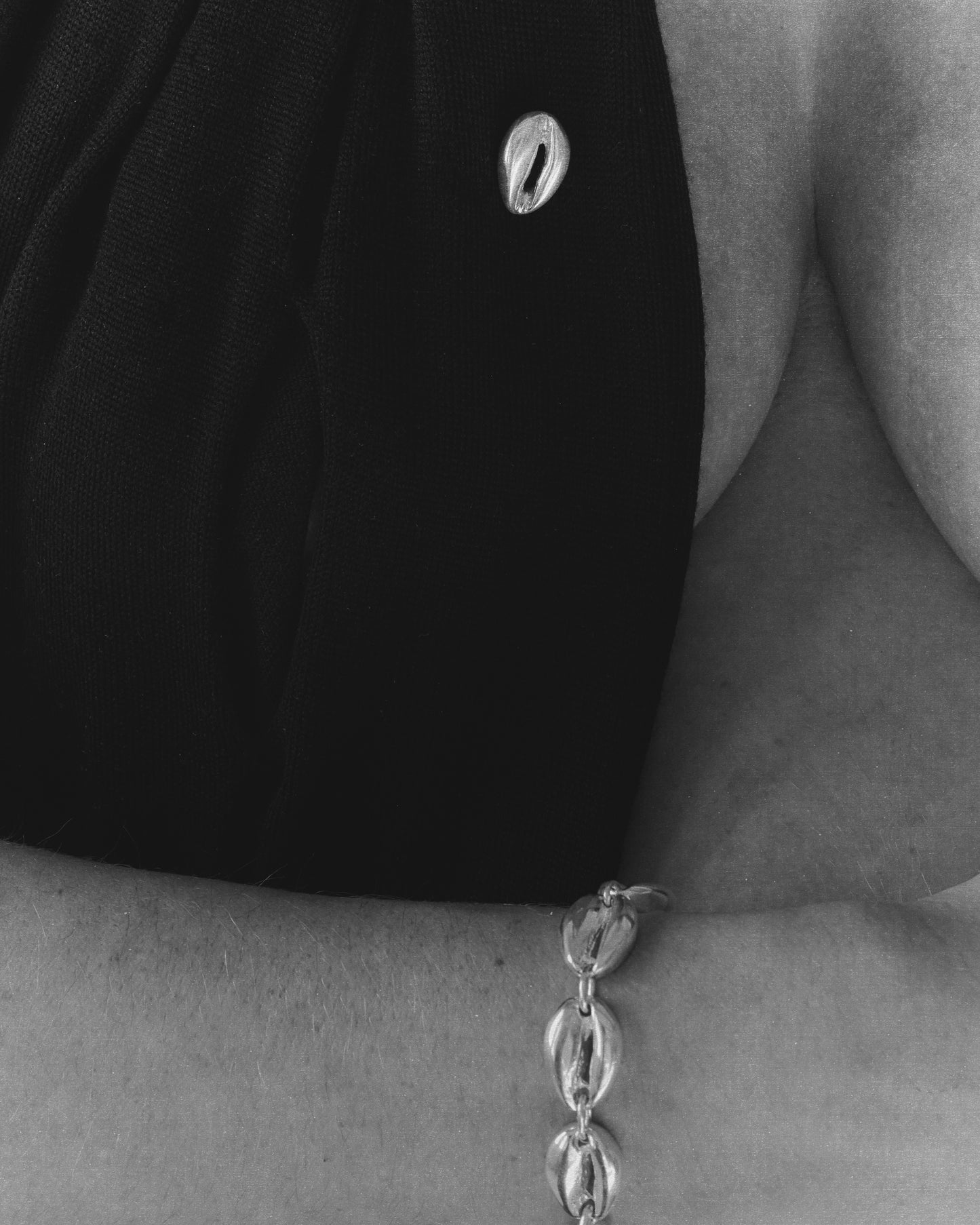 Cowrie Shell Pin