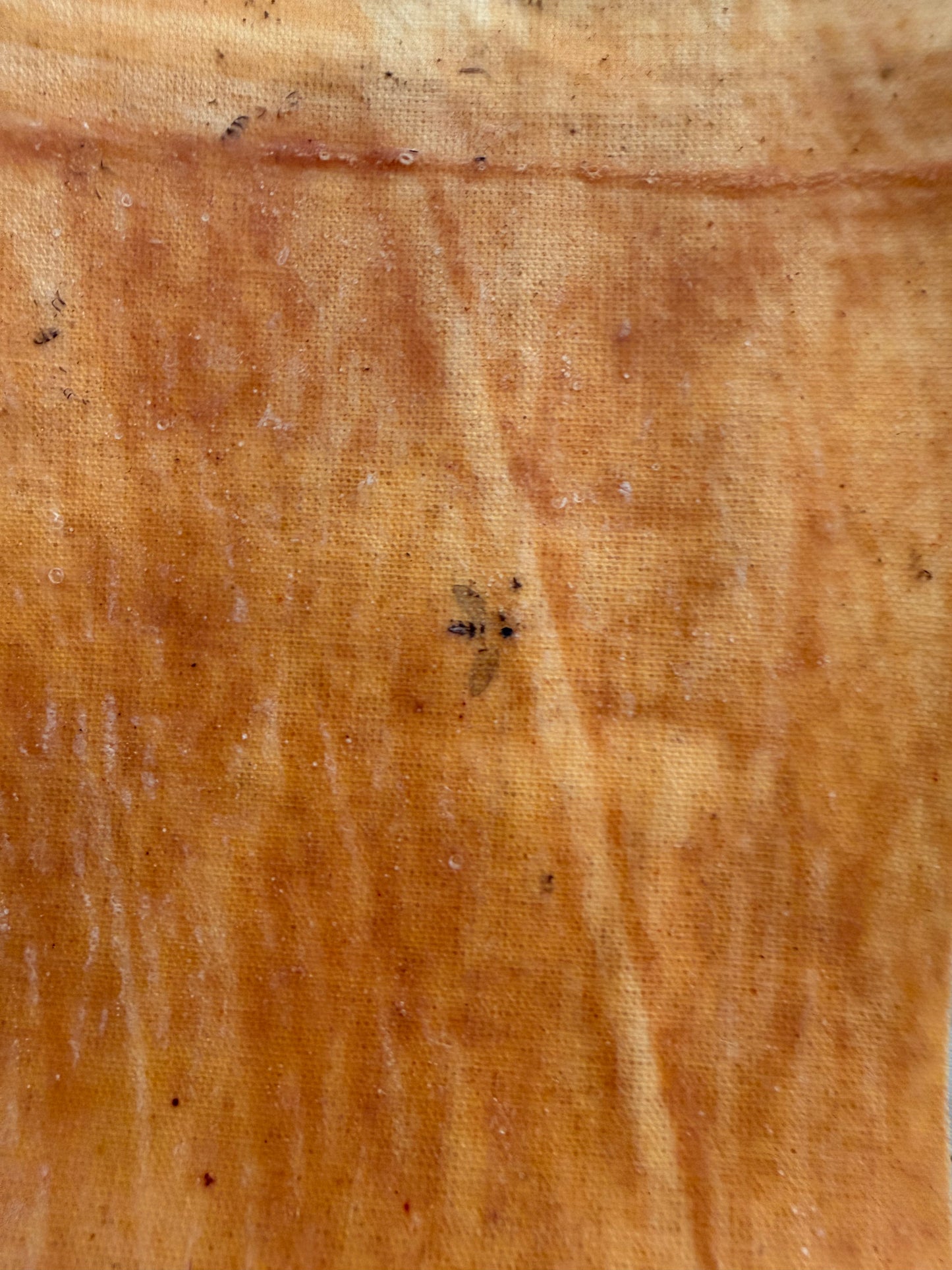 BUG ME TREE SAP SKIRT - Yellow Bark