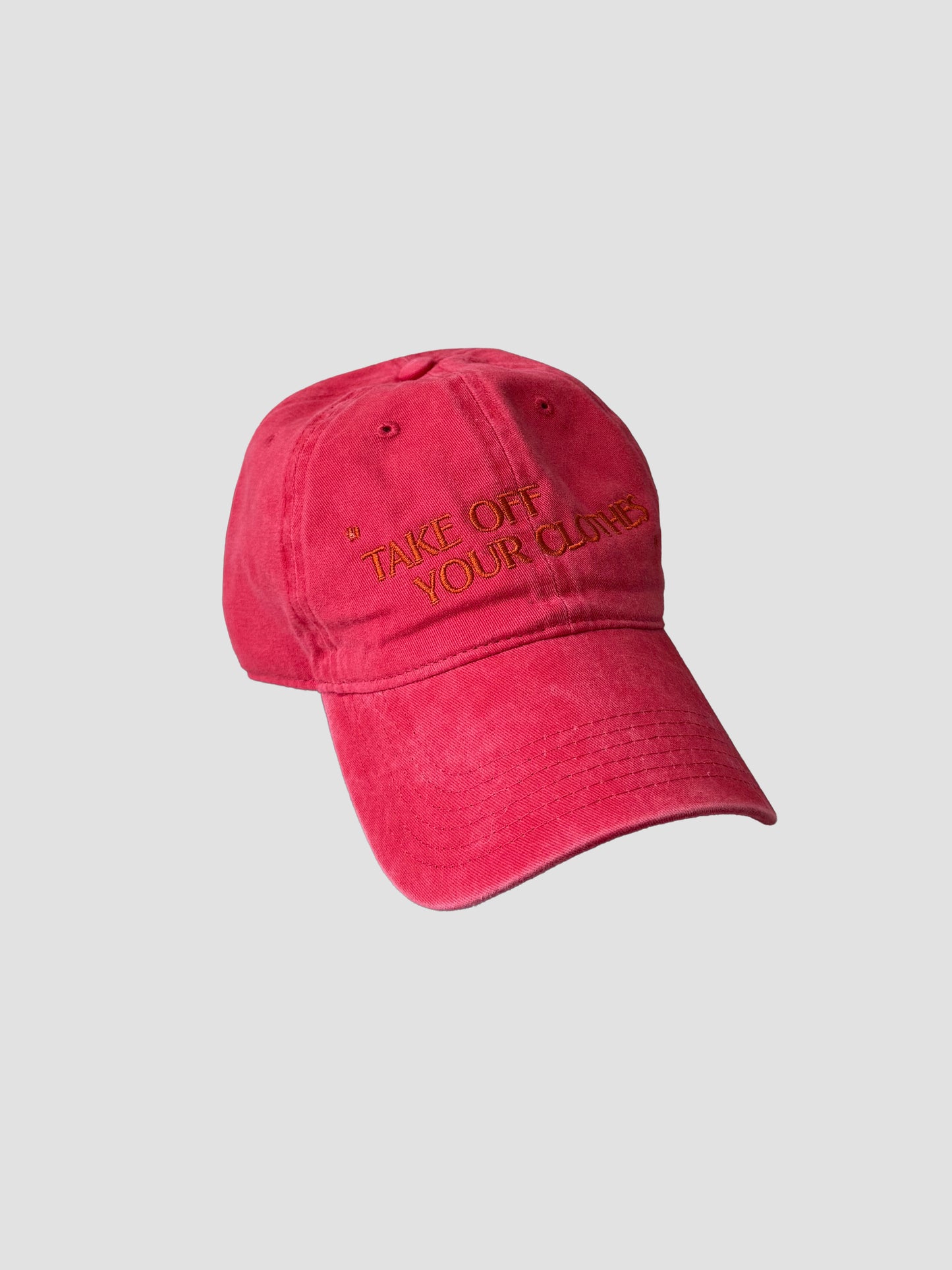 “TAKE OFF YOUR CLOTHES” HAT  - Washed Cotton