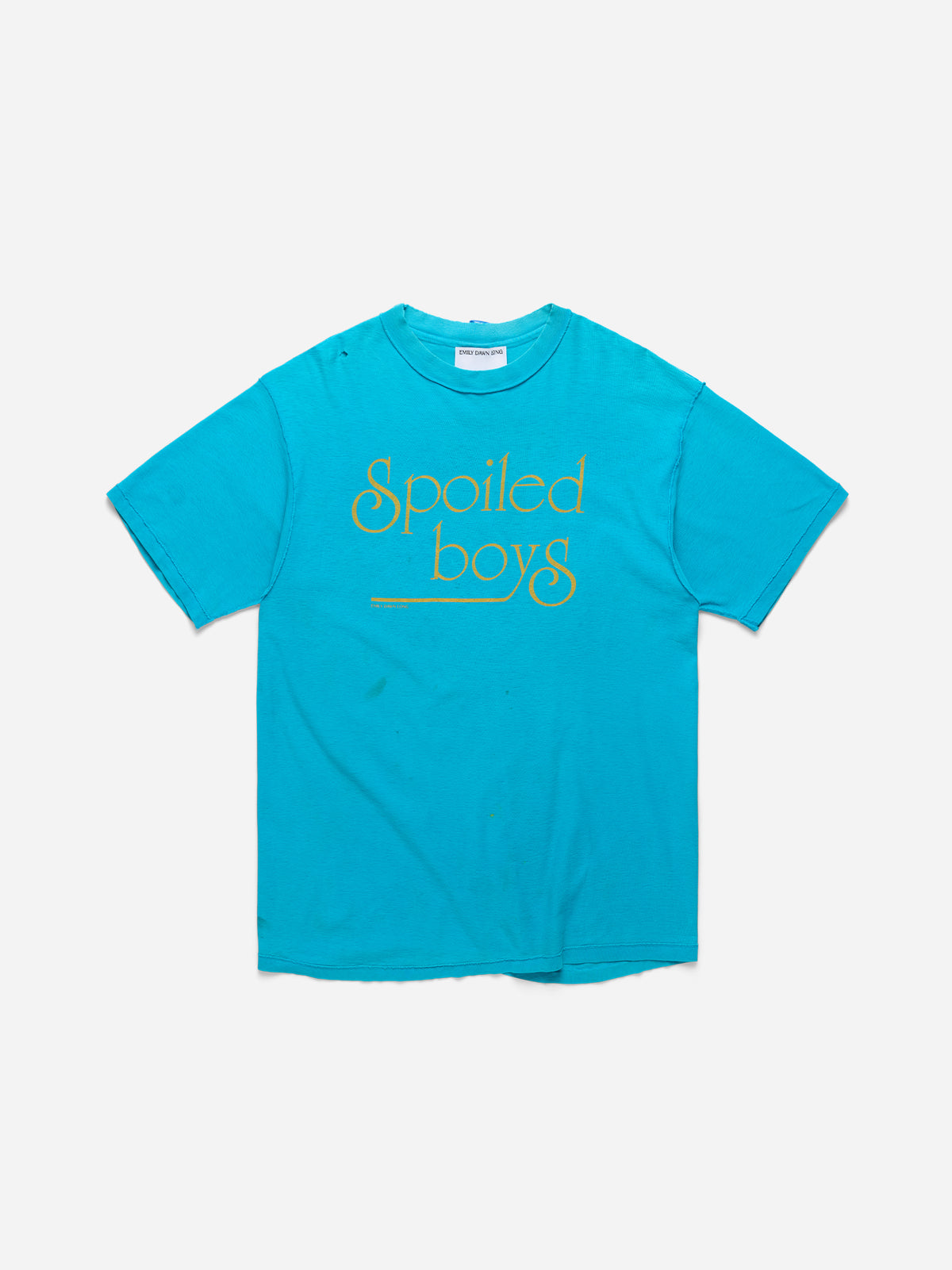 SPOILED BOYS - Teal Tee_L (H2)