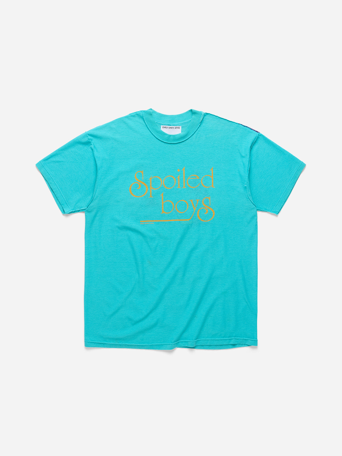 SPOILED BOYS - Teal Tee_Crane Prairie_XL (A3)