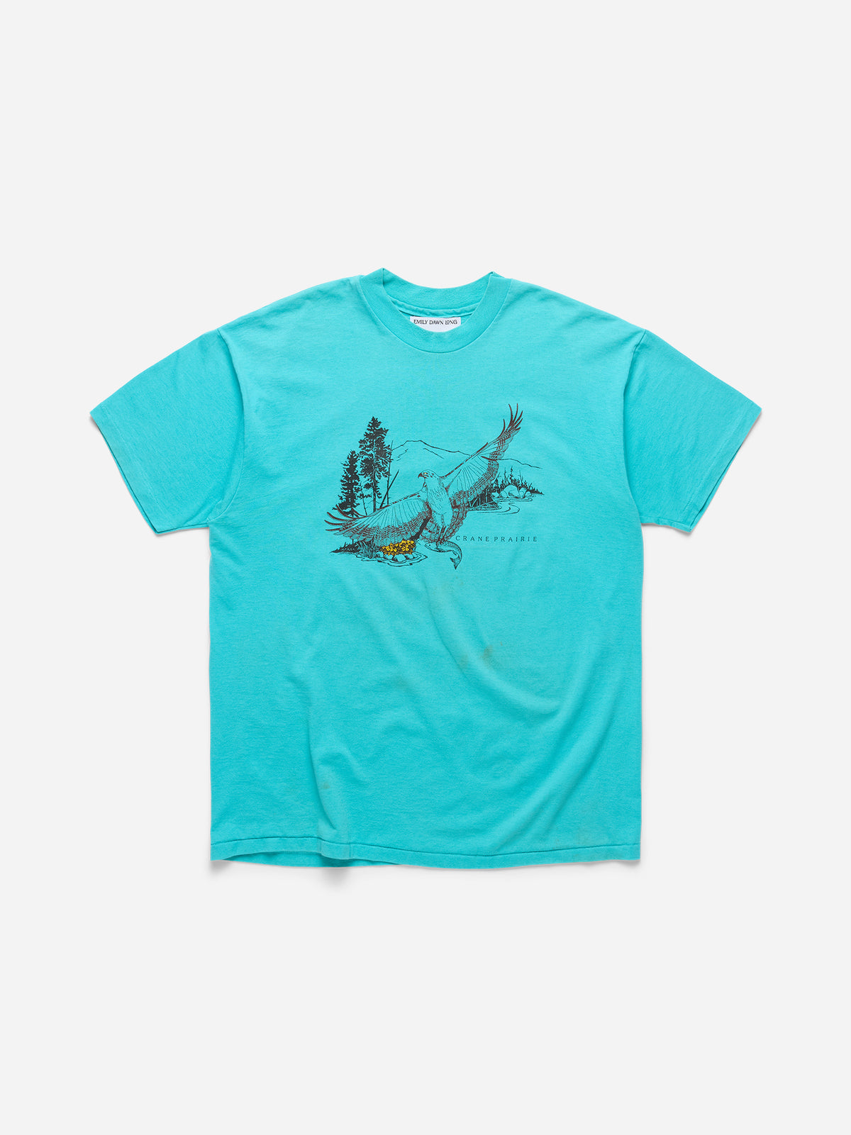 SPOILED BOYS - Teal Tee_Crane Prairie_XL (A3)